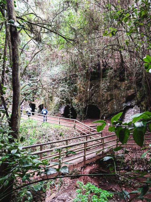 Cuevas_de_Toledo_Tenerife_with_kids