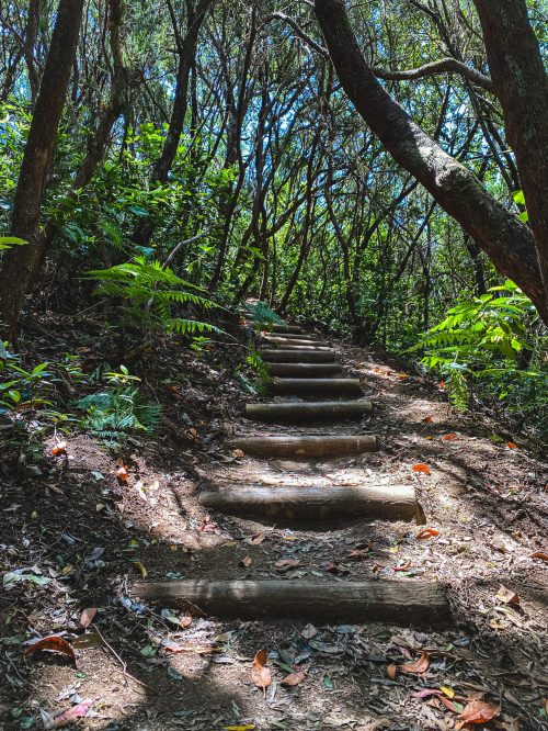 Hiking_Anaga_Tenerife_with_kids