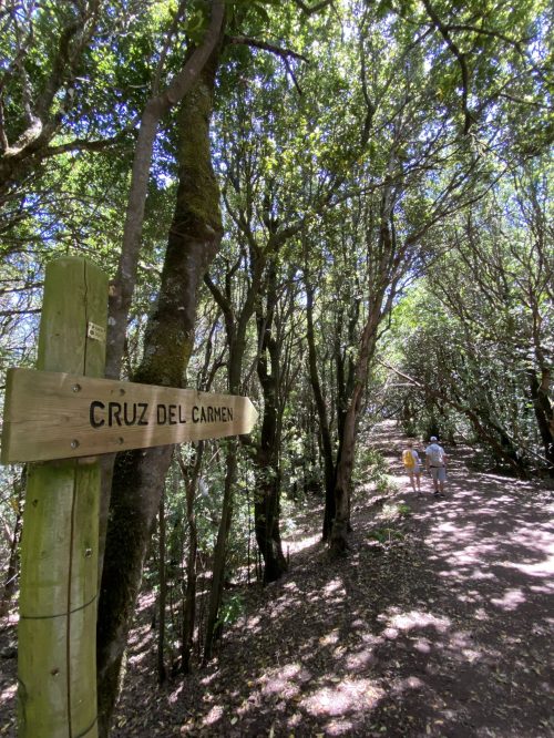 Hiking_in_Tenerife_with_kids