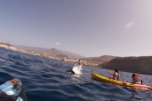 Kayak_Tenerife_with_kids_Palvigo