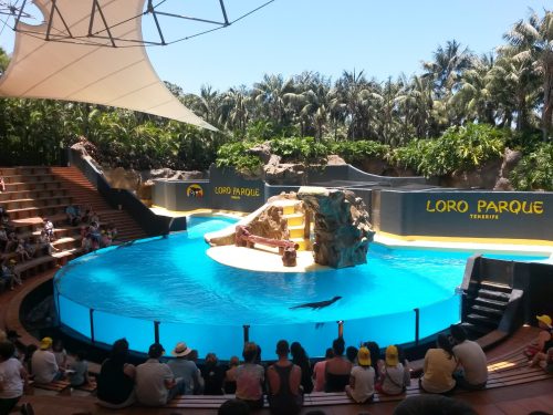 Loro Park_Palvigo_Tenerife with kids