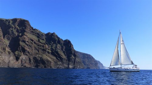 Whale_watching_Tenerife_with_kids